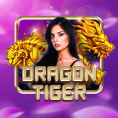 Dragon Tiger live dealer table cover