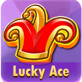 Lucky Ace playing card slot cover