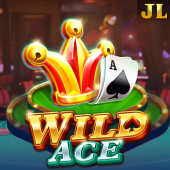 Wild Ace fiery card slot cover